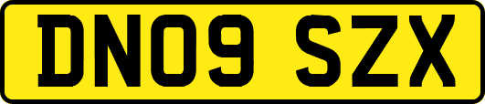 DN09SZX