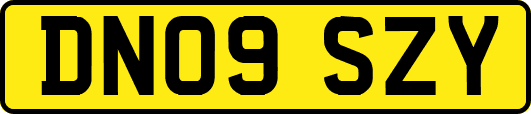 DN09SZY