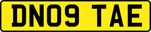 DN09TAE