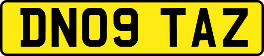DN09TAZ