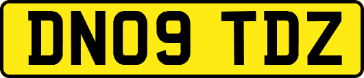 DN09TDZ