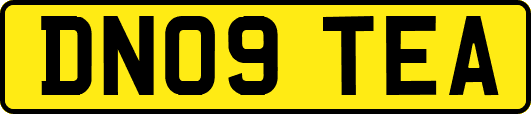 DN09TEA