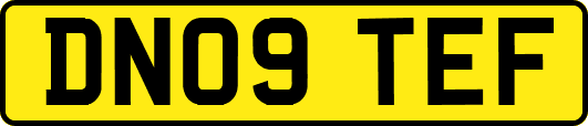 DN09TEF