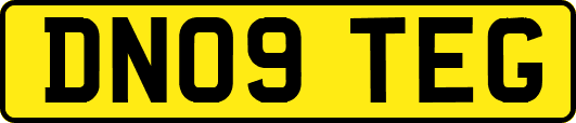 DN09TEG