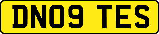 DN09TES