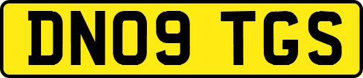 DN09TGS
