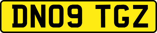 DN09TGZ