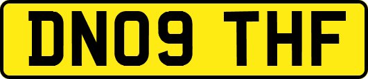 DN09THF