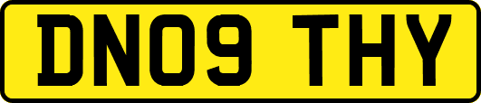 DN09THY