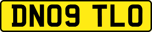 DN09TLO