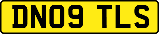 DN09TLS