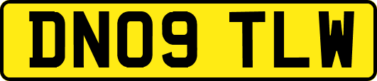 DN09TLW