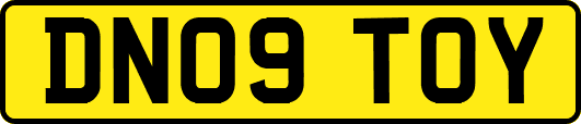 DN09TOY