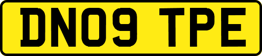 DN09TPE