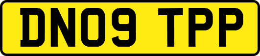 DN09TPP