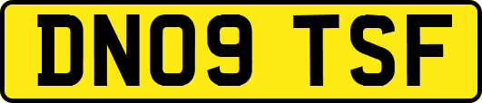 DN09TSF