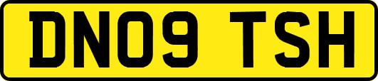 DN09TSH
