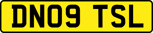 DN09TSL