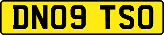 DN09TSO