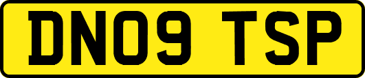 DN09TSP