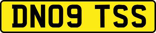 DN09TSS