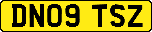DN09TSZ