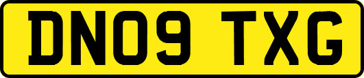 DN09TXG