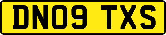 DN09TXS