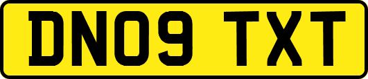 DN09TXT