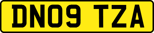 DN09TZA