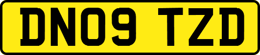 DN09TZD