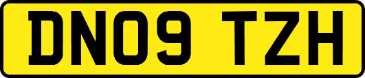 DN09TZH
