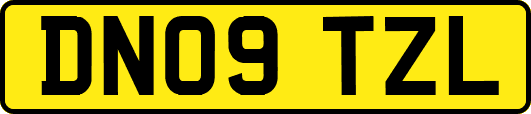 DN09TZL