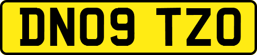 DN09TZO