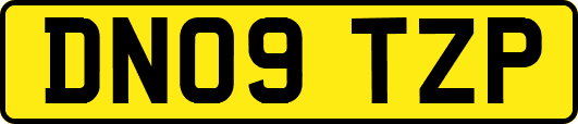DN09TZP