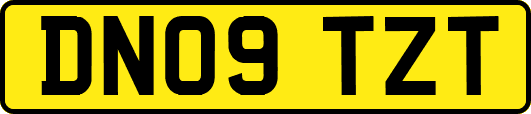 DN09TZT