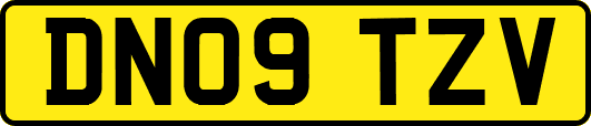 DN09TZV