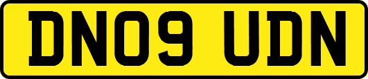 DN09UDN