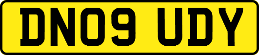 DN09UDY