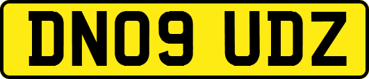 DN09UDZ