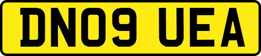 DN09UEA