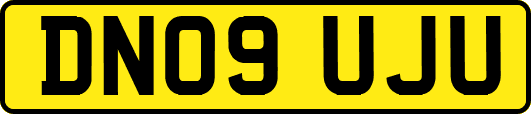 DN09UJU
