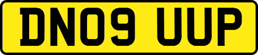 DN09UUP
