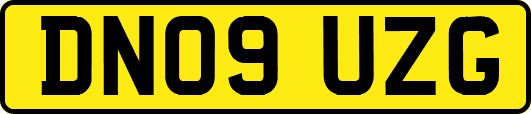 DN09UZG