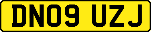 DN09UZJ