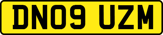 DN09UZM