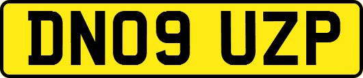 DN09UZP