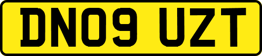 DN09UZT