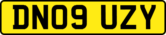 DN09UZY