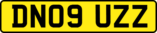 DN09UZZ